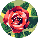 Diya Dileep profile picture